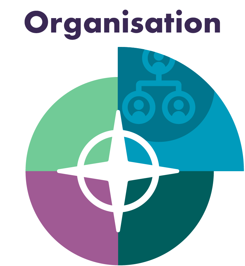 Organisation segment of the business compass