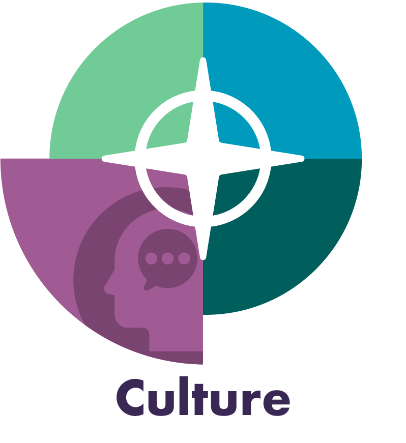 Culture segment of business compass