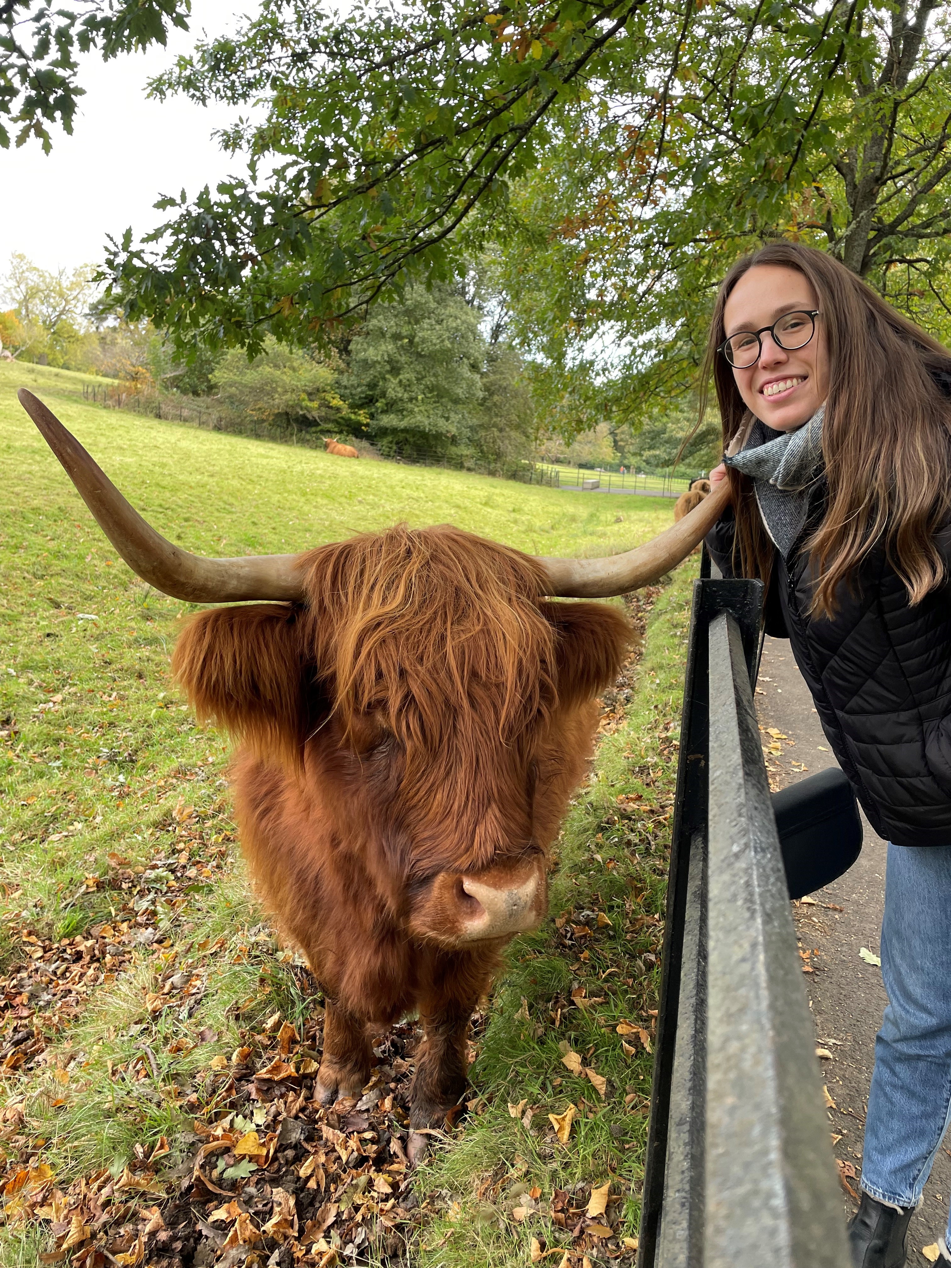 Women outside stood next to a cow